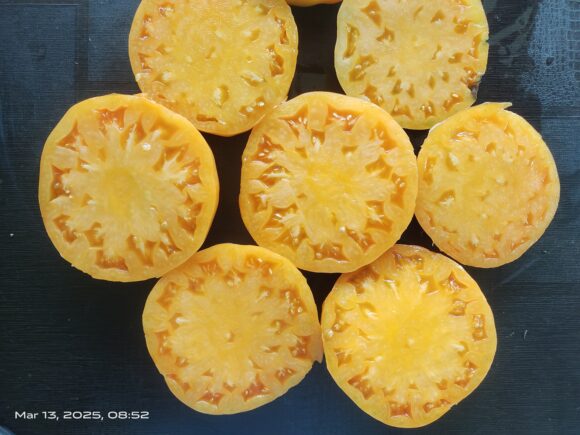 Persimmon - Image 4